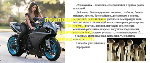 каннабис Бородино