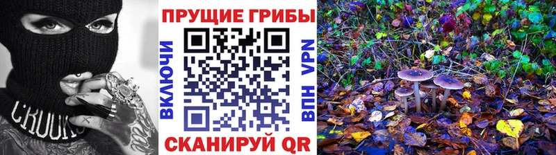 Галлюциногенные грибы Magic Shrooms  Купить  Нытва 